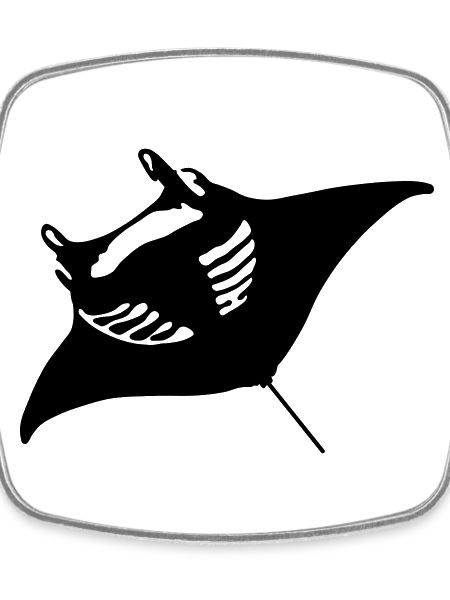 manta_1