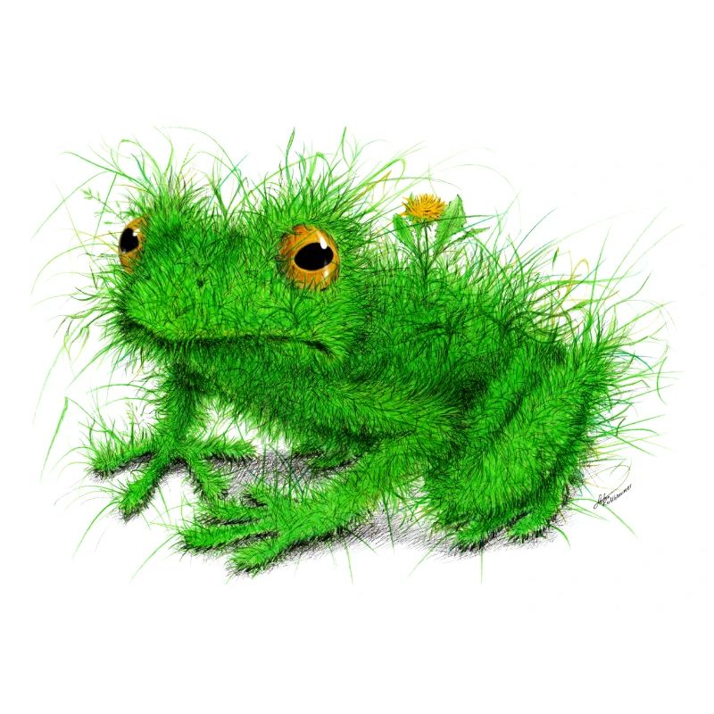 Gras Frosch