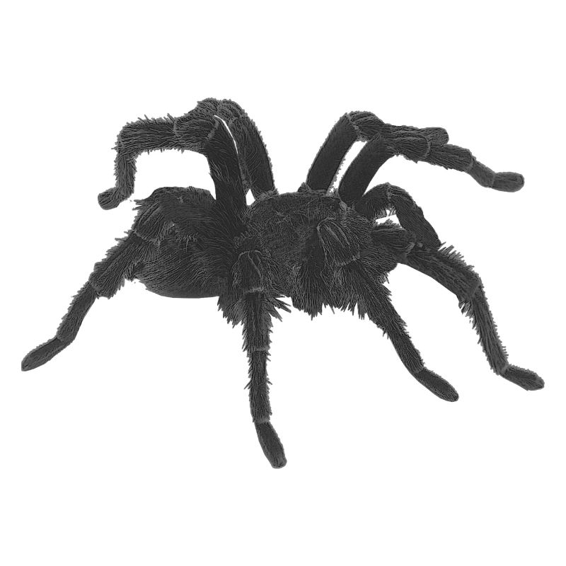 Tarantel design, geburtstagsgeschenk Mann, goth