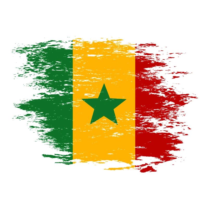 Drapeau du Sénégal Brush Optics
