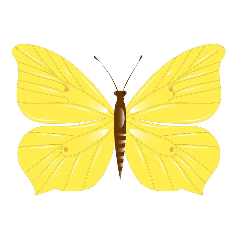 Papillon citron dessiné à la main