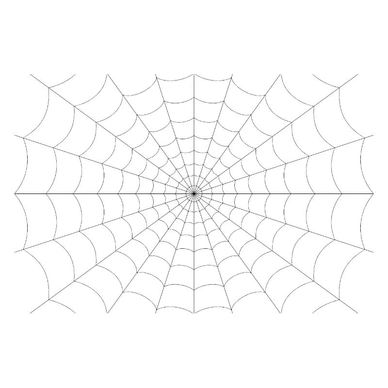 Spider web