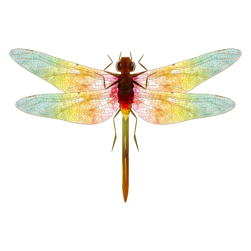 Libellule irisée – motif insecte en filigrane