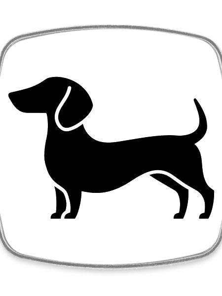 dachshund
