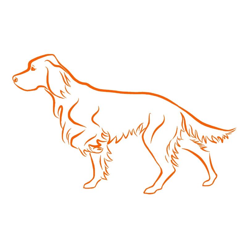 Setter ci-dessus en orange
