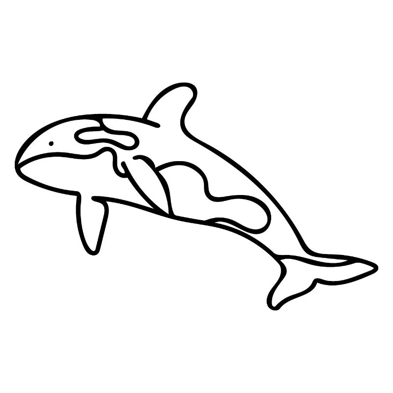 Killerwal - Orca