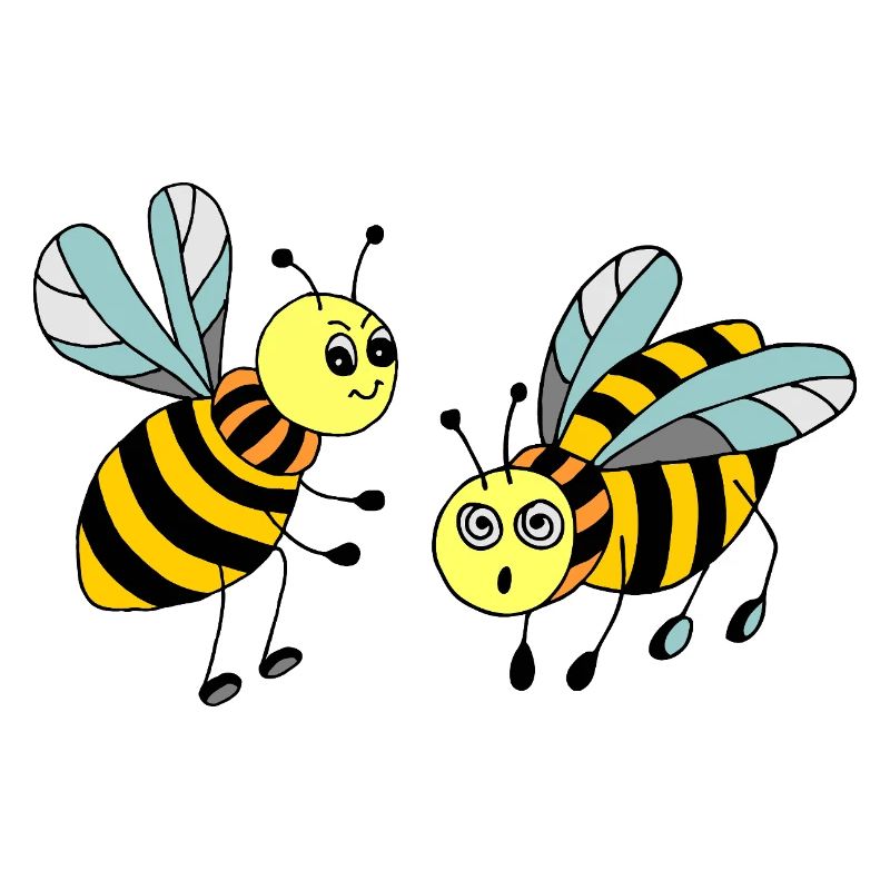 Insects