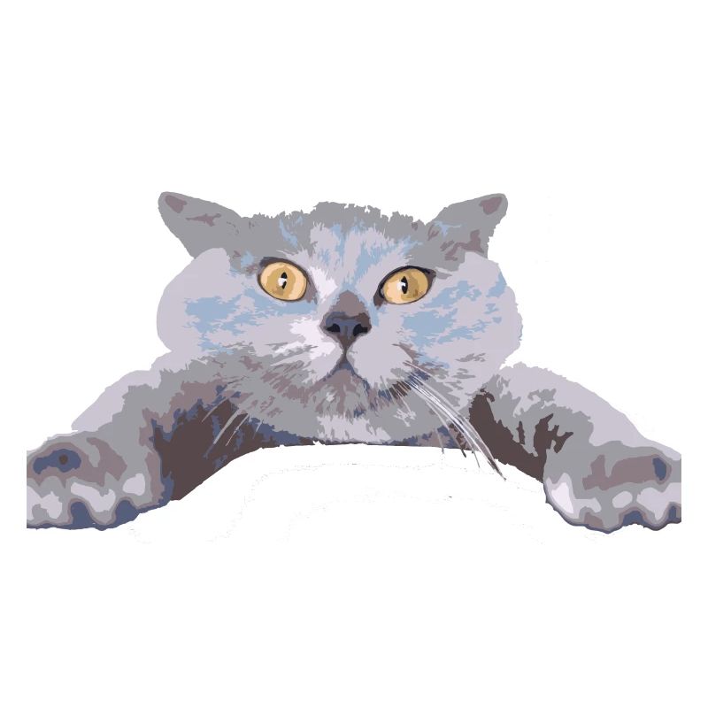 Chat -