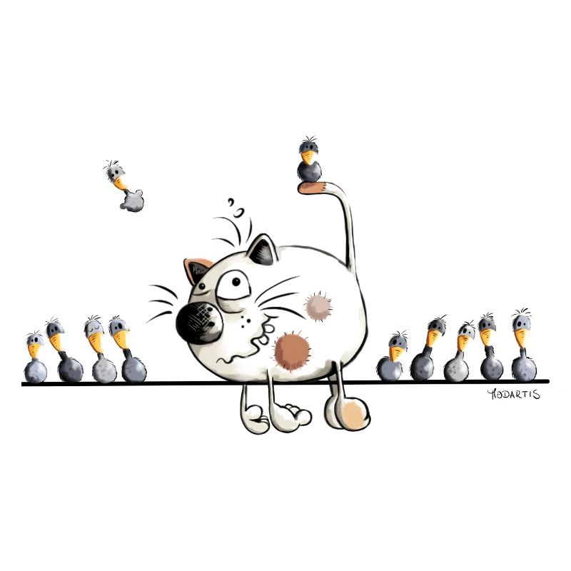 Chat avec oiseaux