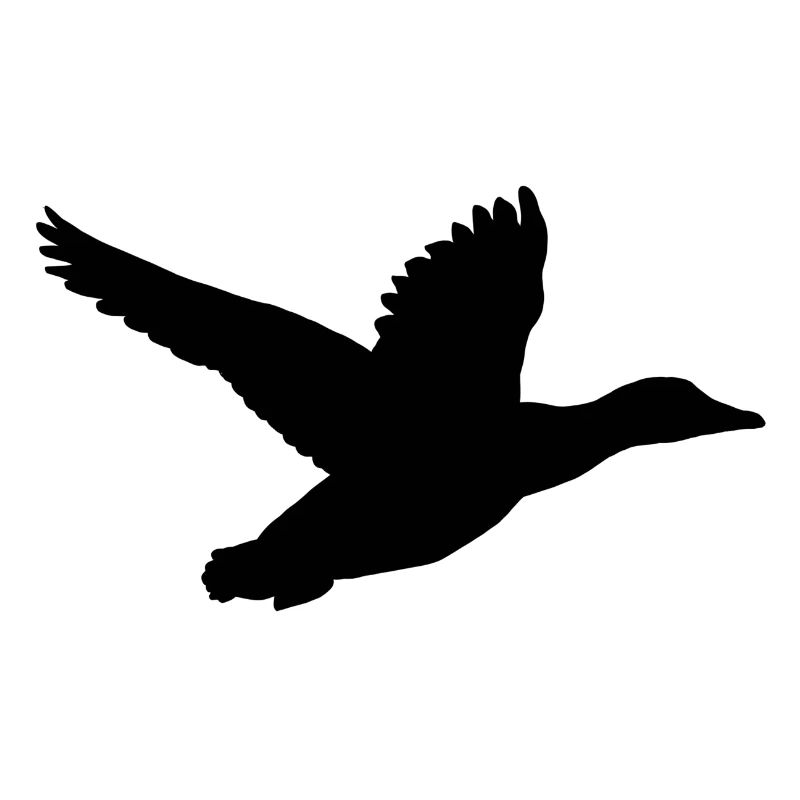 Duck in flight