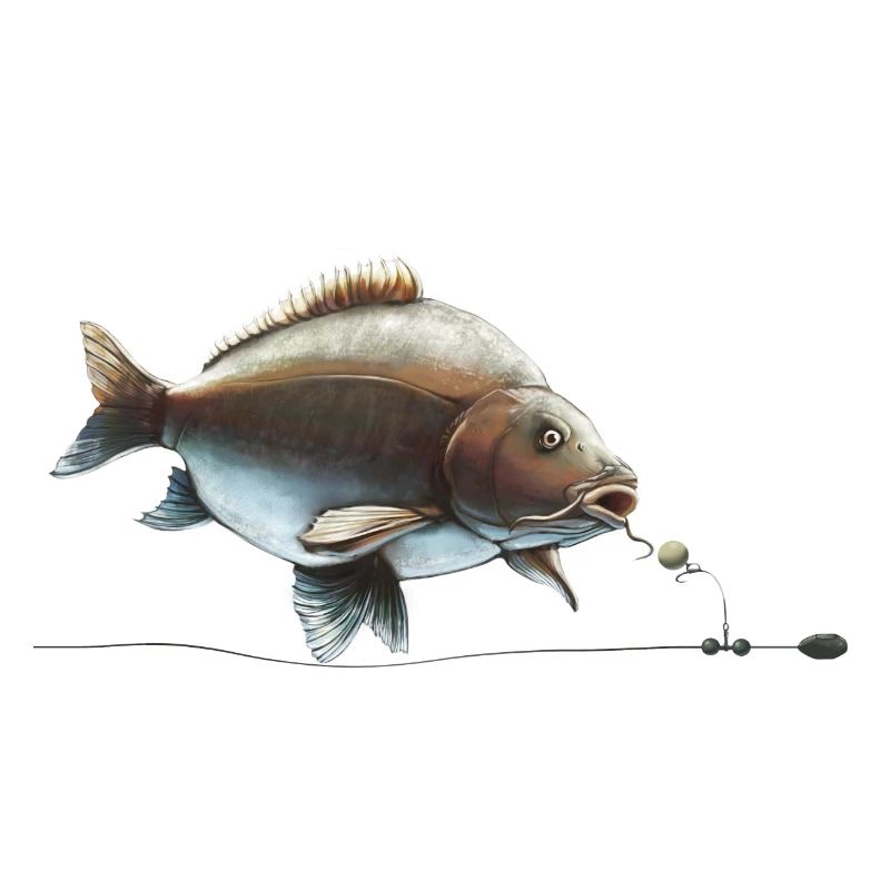 Pêche à la carpe : conception de gréement bouillie Moment de morsure du pêcheur