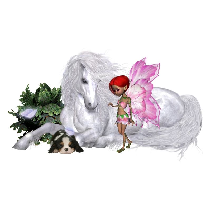 Merveilleuse licorne avec fée