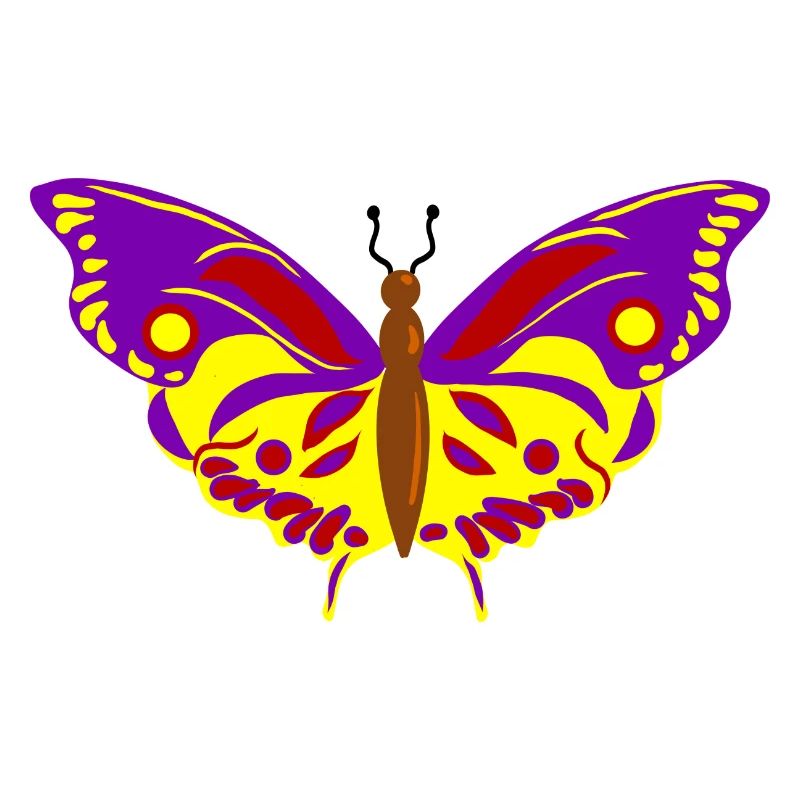 Vol de Papillon multicolore