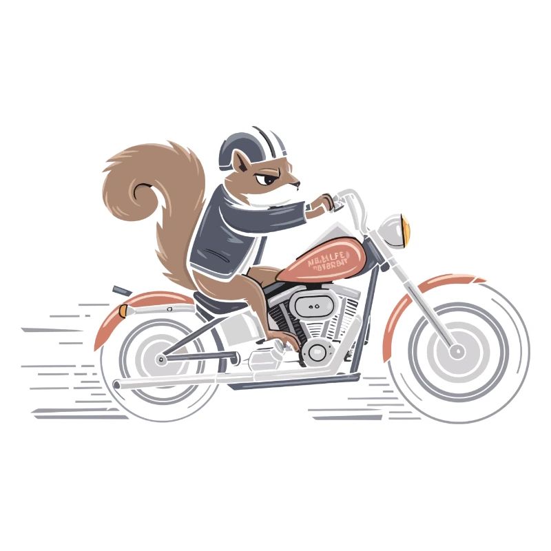 Cavalier d’écureuil à vélo
