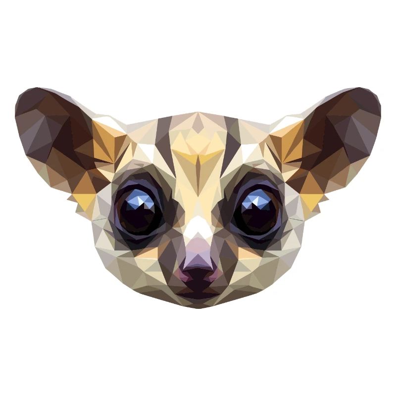 Galago Bush Baby Monkey Galagos Monkey Cute Galago