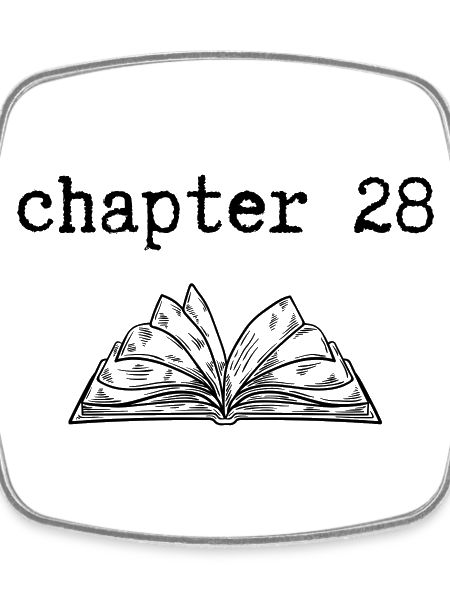 chapter 28 Birthday