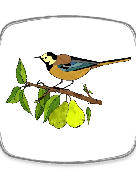 Bunter Vogel