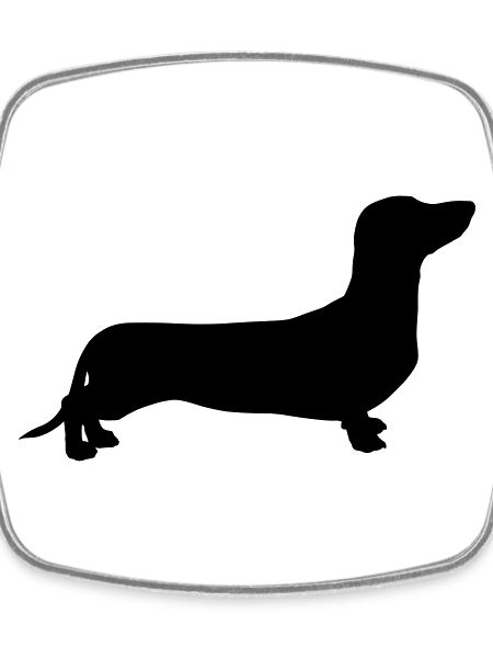 Dachshund