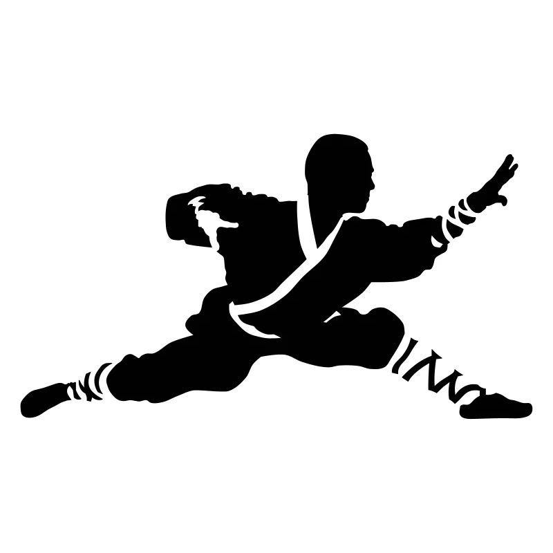 Kung fu Shaolin