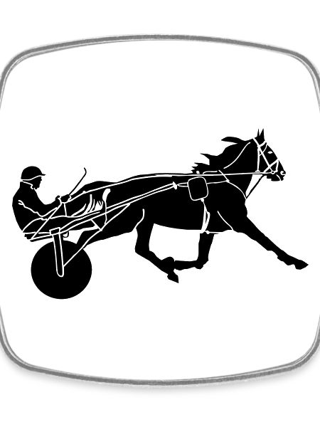 Course équestre