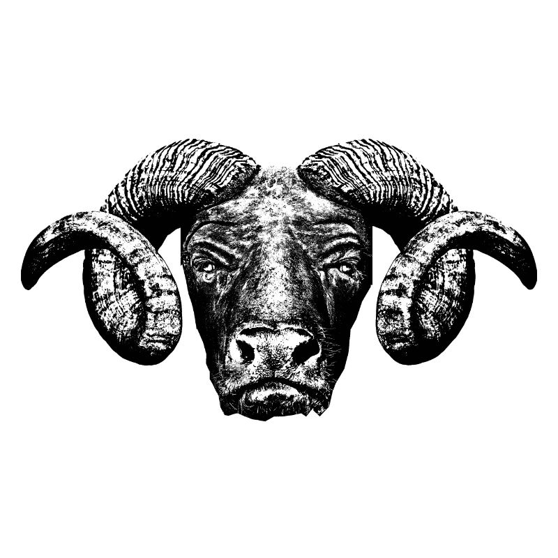 Minotaur / Head