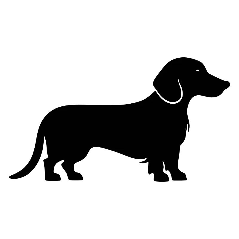 Dachshund Dackel