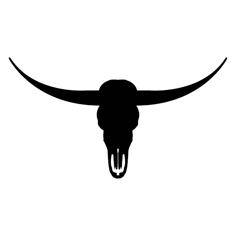 Longhorn head skull