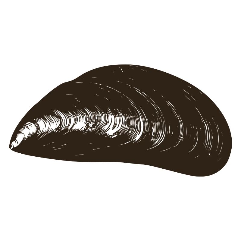 Moule Moule