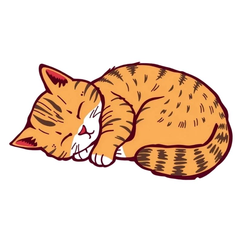 chat endormi chaton tigre chat