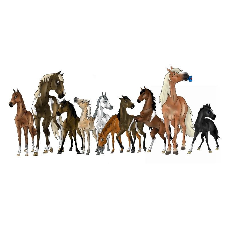 Pferde Schule - Gruppenbild mit allen Pferden