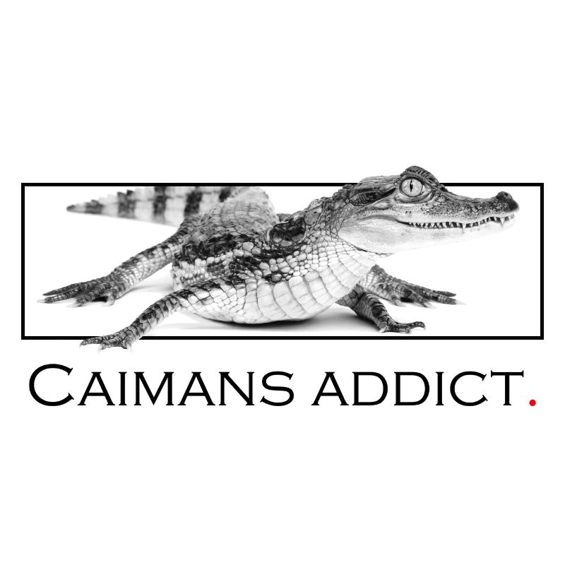 Caimans addict