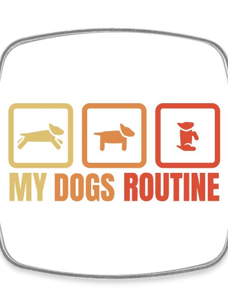 My dog's routine
