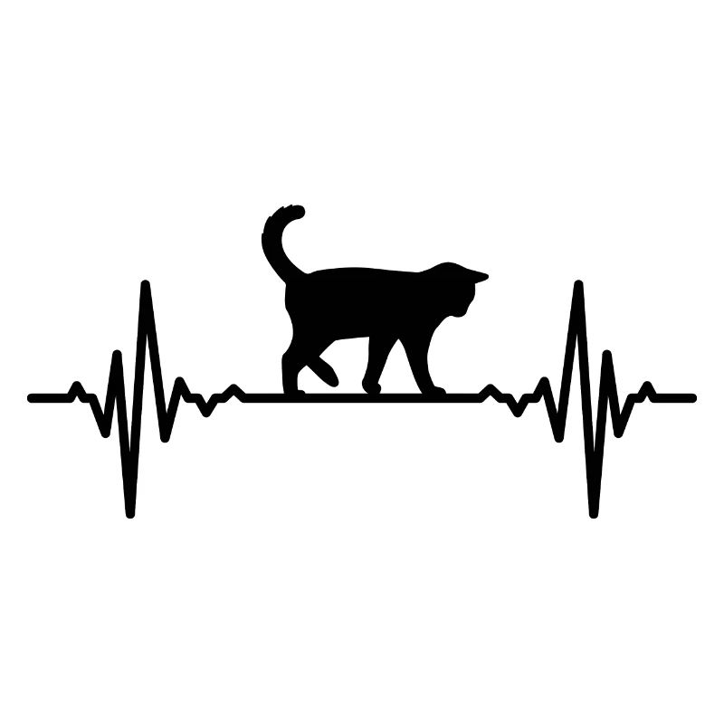 Cat pulse rate