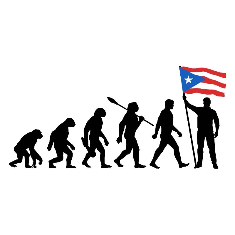 Puerto Rico - Evolution - Flagge - Nation