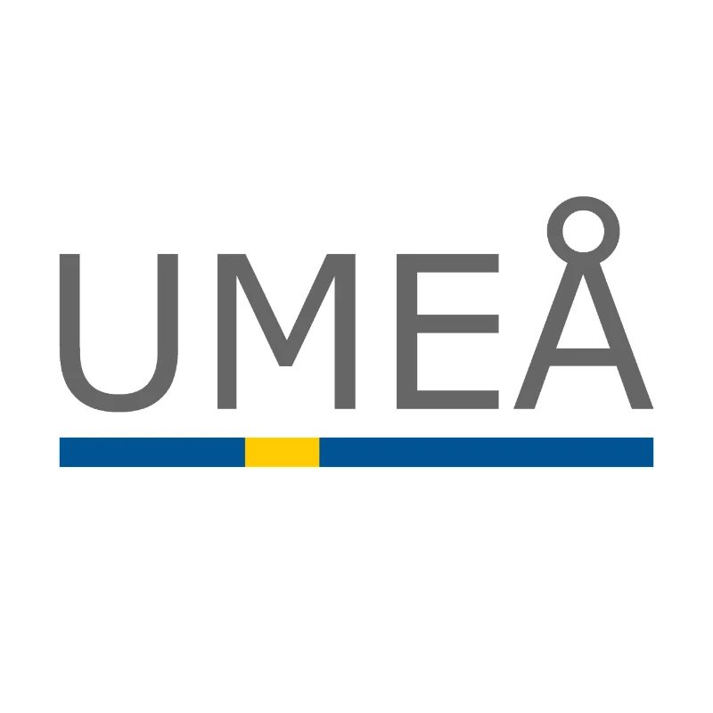 Drapeau de la Suède - Umeå - Sverige - Suède
