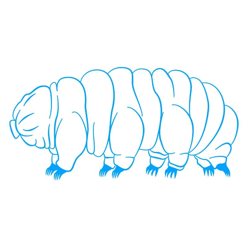 Tardigrade Tardigrade Water Bear Tardigrade