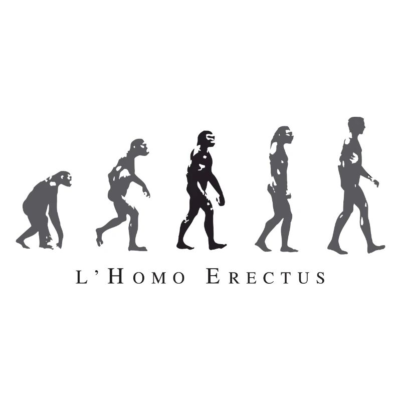 Evolution der menschlichen Haltung