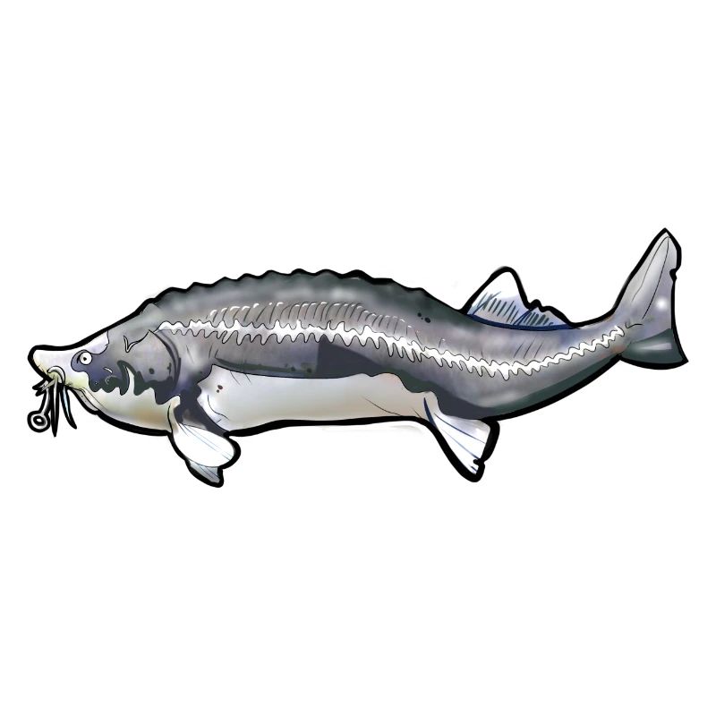 Motif de queue de kelfish arraché