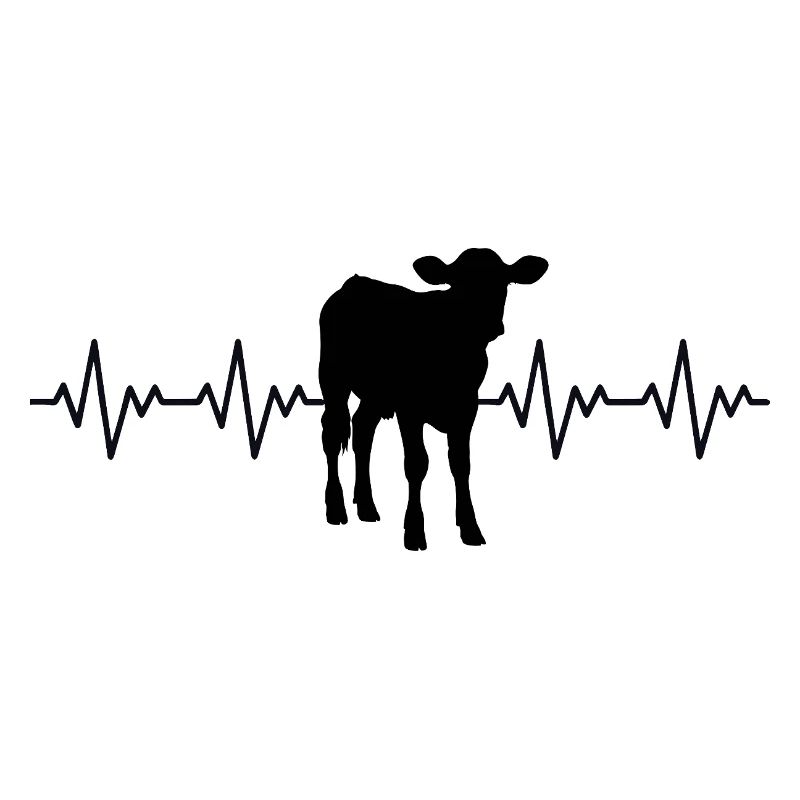 Bauer Calf ECG Heartbeat