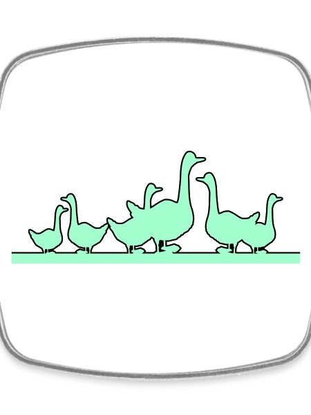 Ducks Geese