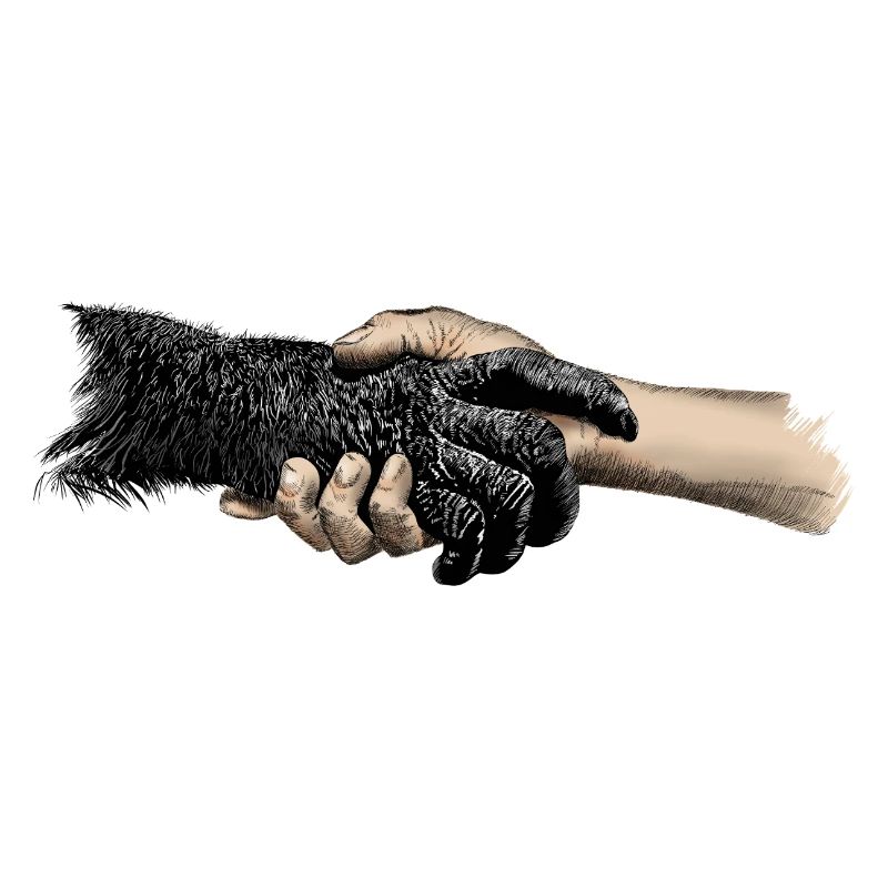 Hands