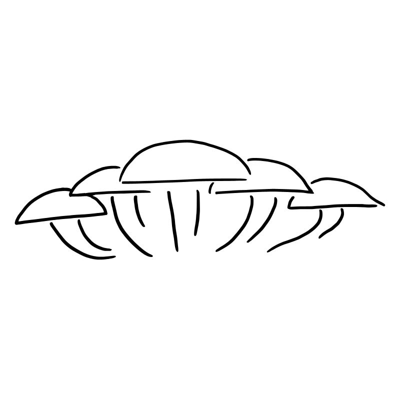 Groupe de champignons - Un groupe de champignons