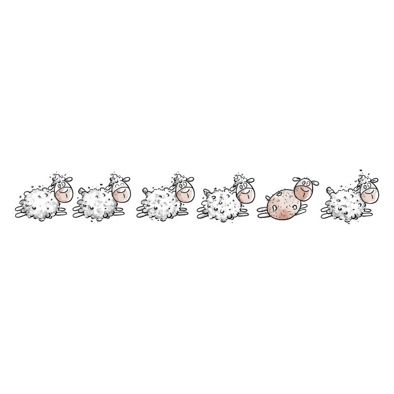 Sheep Flock and sheared sheep