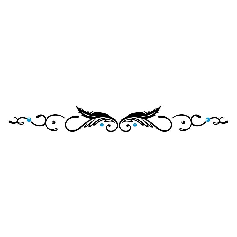 Ornament with two feathers, indian style.