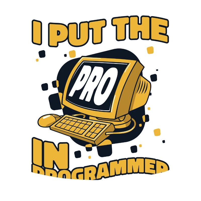 J’ai mis le pro dans Programmeur Developer Coder