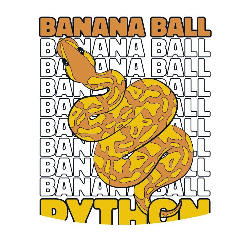 Boule de banane Python Serpent Python Boule de banane