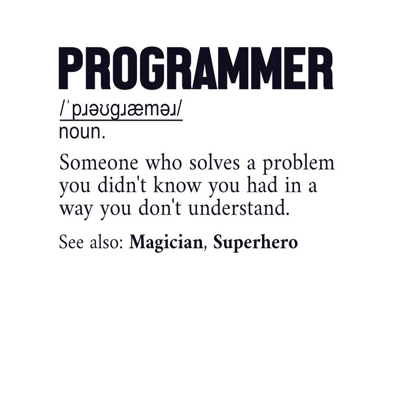Programmatore Definizione Software Developer Coder