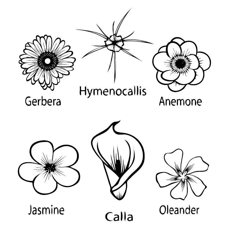 Types de fleurs