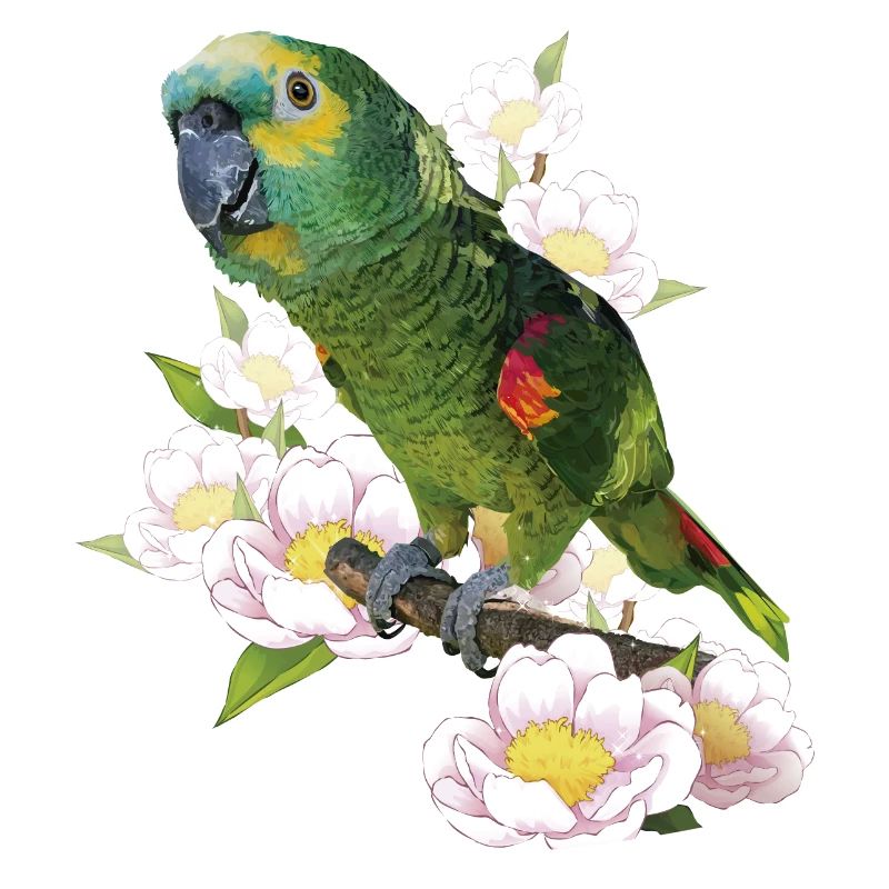 The blue-fronted amazon