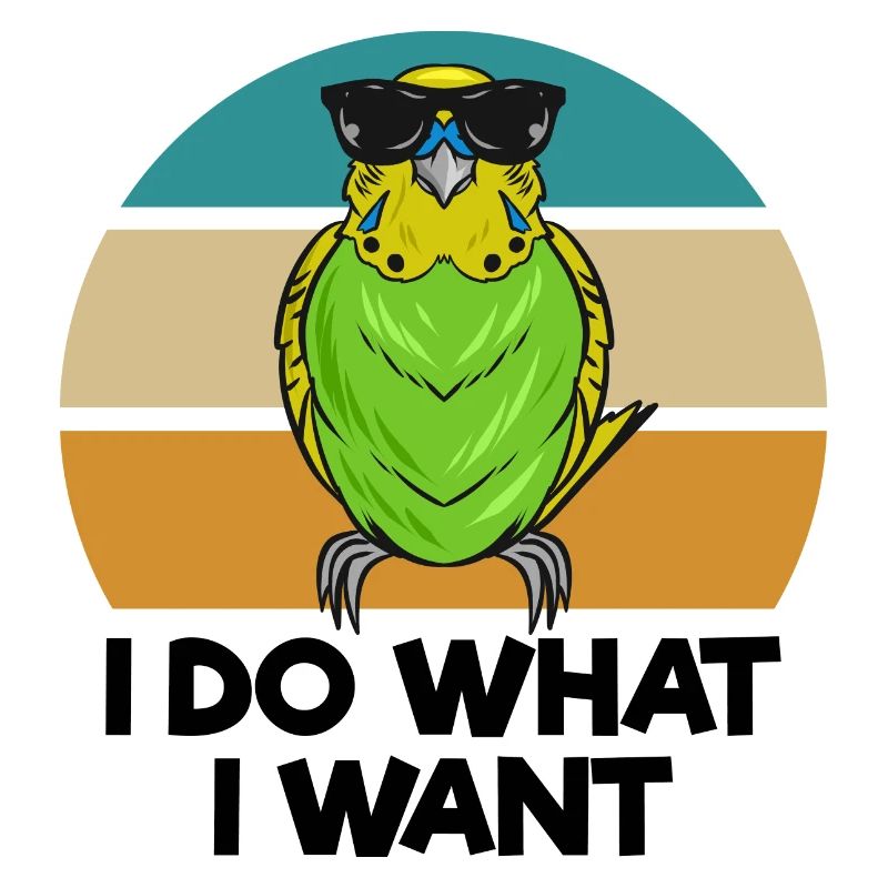 Budgerigar